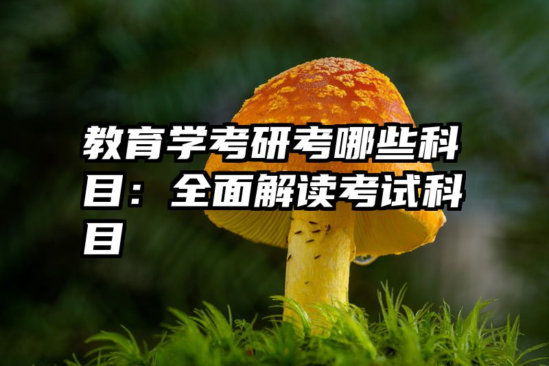 教育学考研考哪些科目：全面解读考试科目