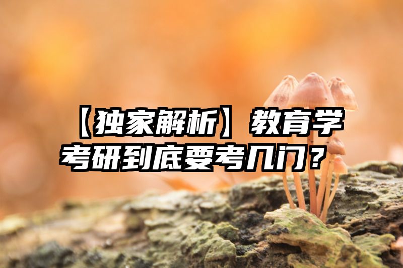 【独家解析】教育学考研到底要考几门？