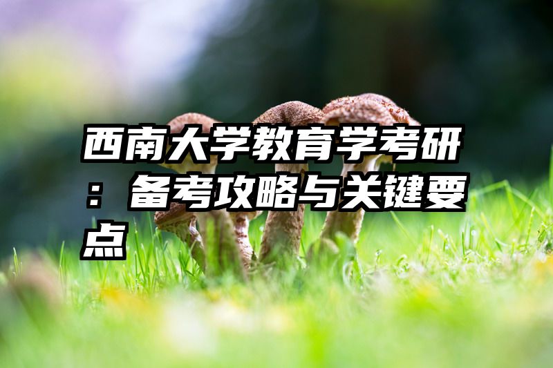 西南大学教育学考研：备考攻略与关键要点