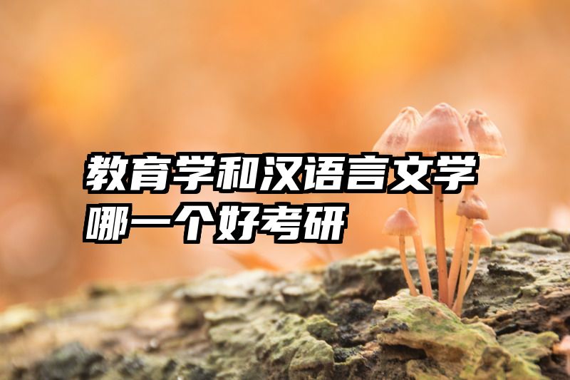 教育学和汉语言文学哪一个好考研