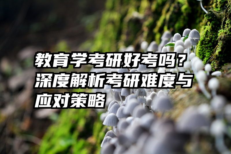 教育学考研好考吗？深度解析考研难度与应对策略