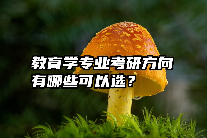 教育学专业考研方向有哪些可以选？