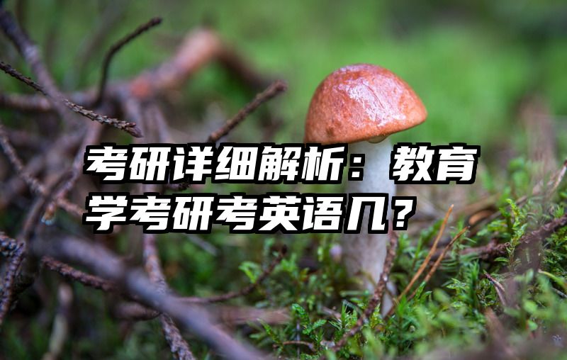 考研详细解析：教育学考研考英语几？