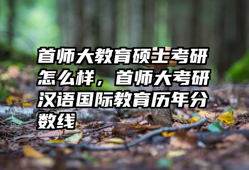 首师大教育硕士考研怎么样，首师大考研汉语国际教育历年分数线