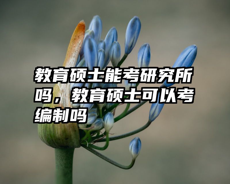 教育硕士能考研究所吗，教育硕士可以考编制吗