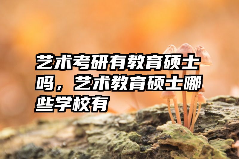 艺术考研有教育硕士吗，艺术教育硕士哪些学校有