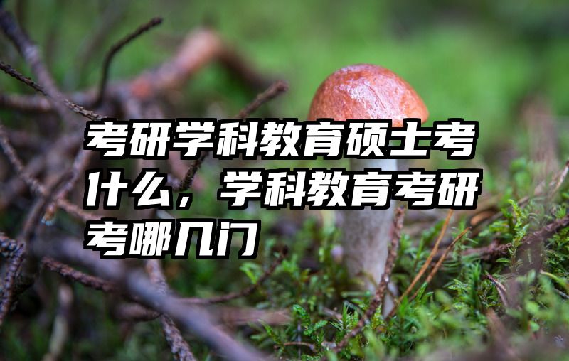 考研学科教育硕士考什么，学科教育考研考哪几门