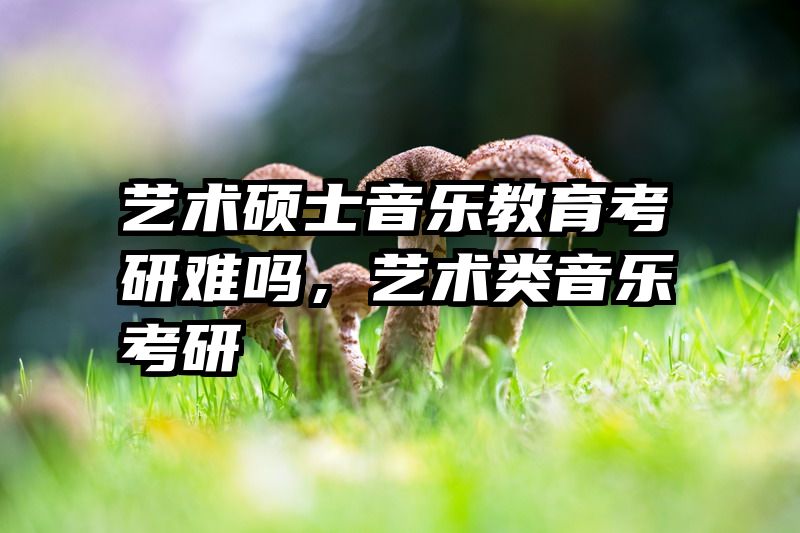 艺术硕士音乐教育考研难吗，艺术类音乐考研