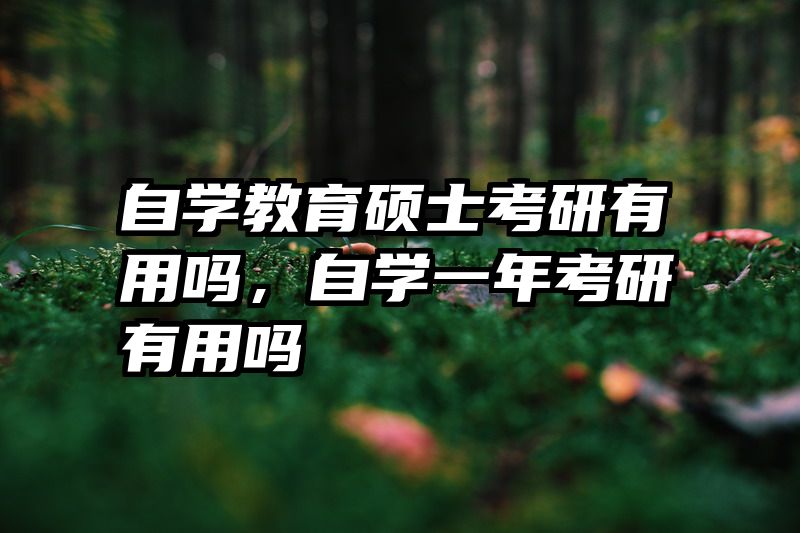 自学教育硕士考研有用吗，自学一年考研有用吗