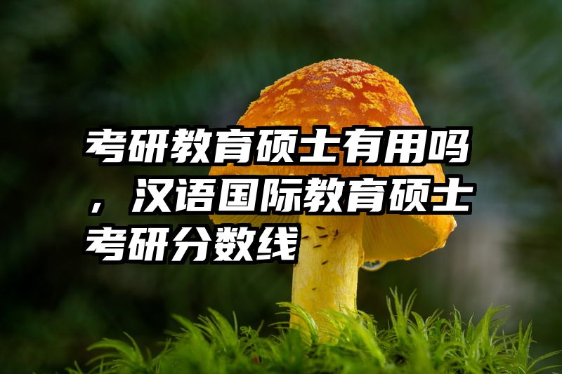 考研教育硕士有用吗，汉语国际教育硕士考研分数线