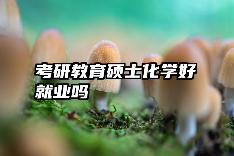 考研教育硕士化学好就业吗