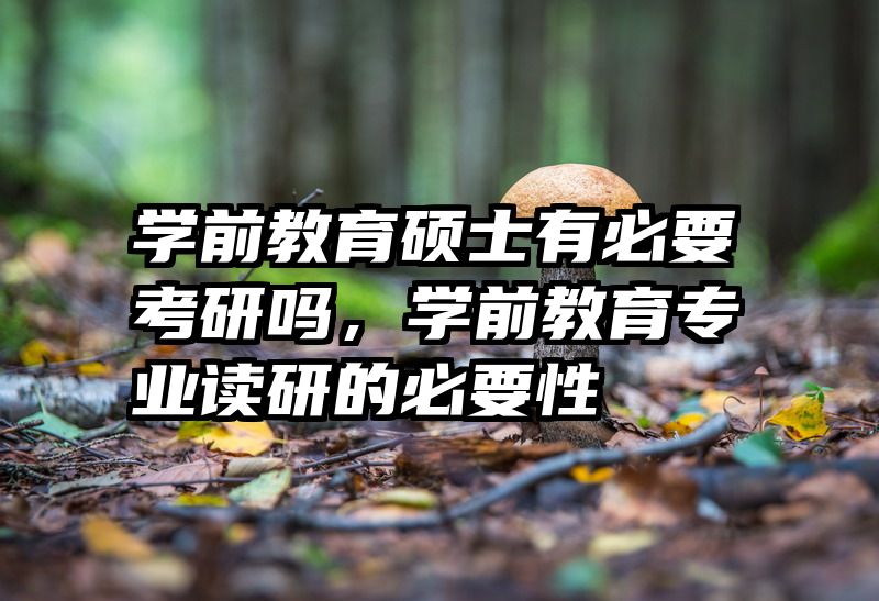 学前教育硕士有必要考研吗，学前教育专业读研的必要性