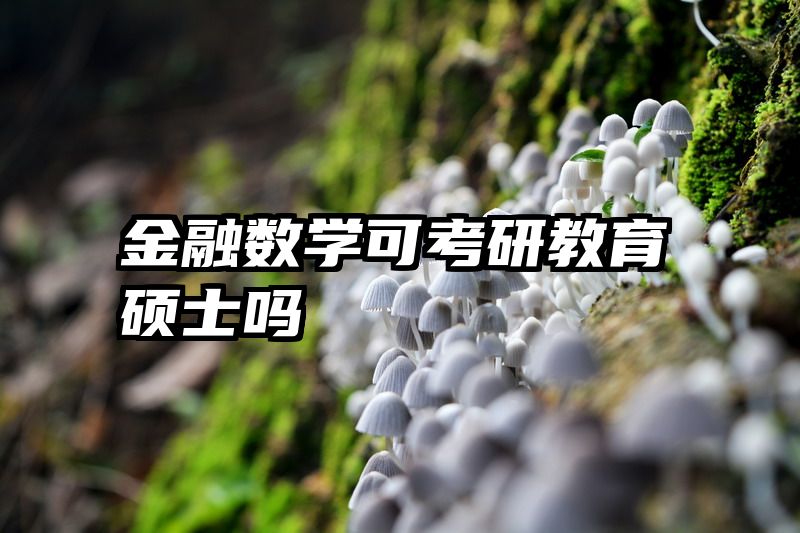 金融数学可考研教育硕士吗