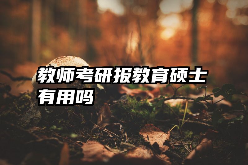 教师考研报教育硕士有用吗