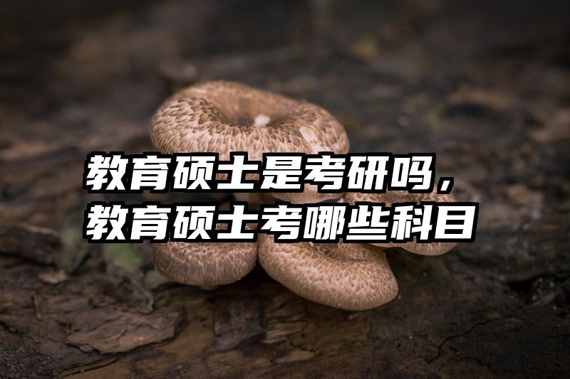 教育硕士是考研吗，教育硕士考哪些科目