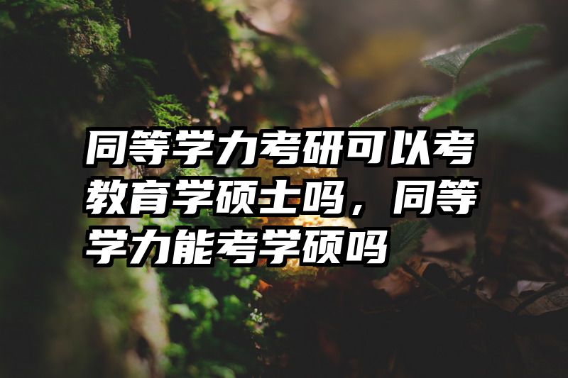 同等学力考研可以考教育学硕士吗，同等学力能考学硕吗