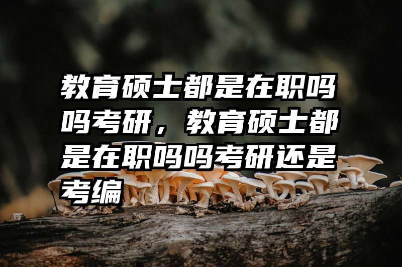 教育硕士都是在职吗吗考研，教育硕士都是在职吗吗考研还是考编