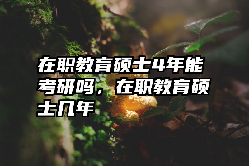 在职教育硕士4年能考研吗，在职教育硕士几年