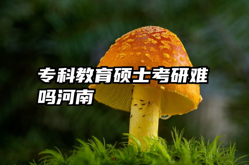 专科教育硕士考研难吗河南