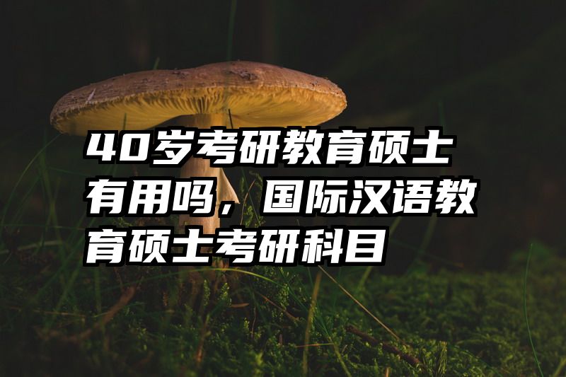 40岁考研教育硕士有用吗，国际汉语教育硕士考研科目