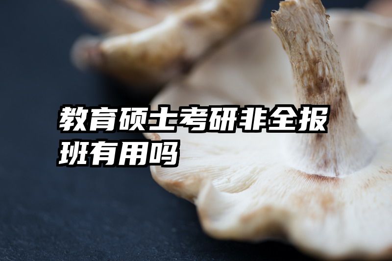 教育硕士考研非全报班有用吗