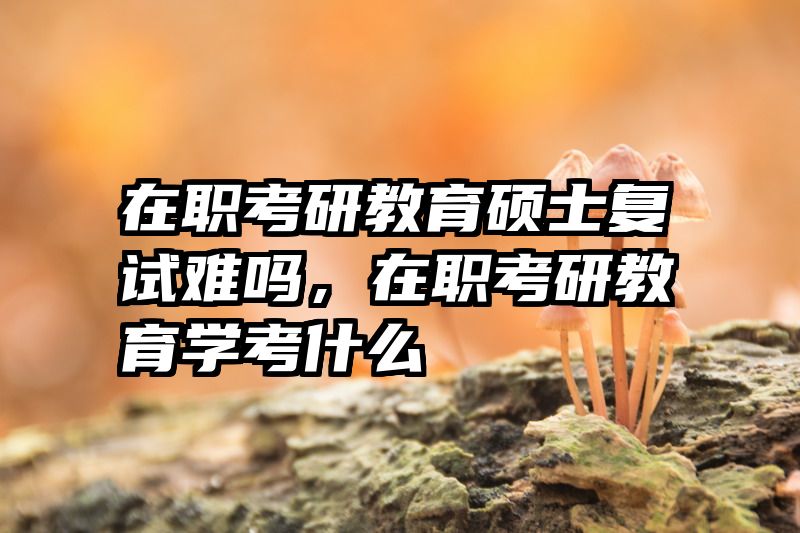 在职考研教育硕士复试难吗，在职考研教育学考什么