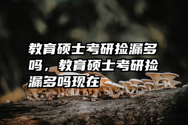 教育硕士考研捡漏多吗，教育硕士考研捡漏多吗现在