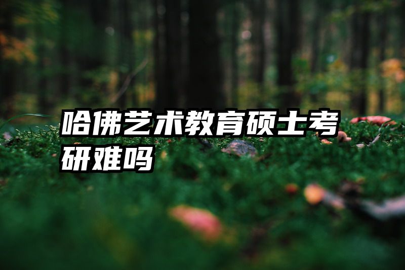 哈佛艺术教育硕士考研难吗