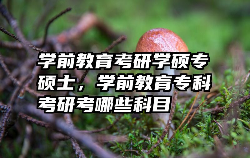 学前教育考研学硕专硕士，学前教育专科考研考哪些科目