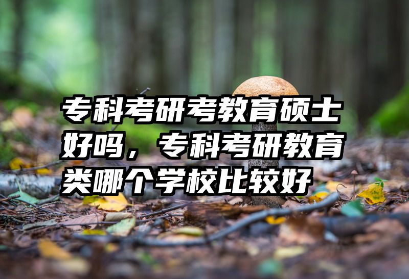 专科考研考教育硕士好吗，专科考研教育类哪个学校比较好