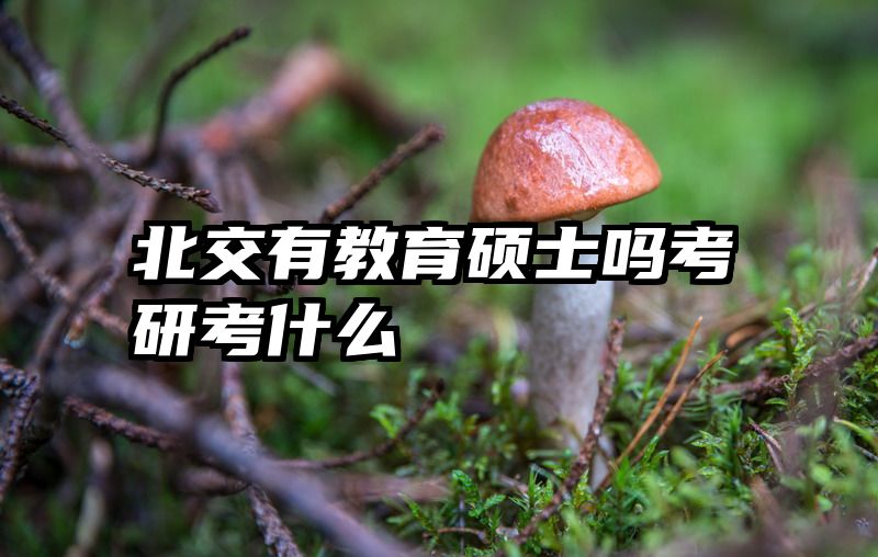 北交有教育硕士吗考研考什么