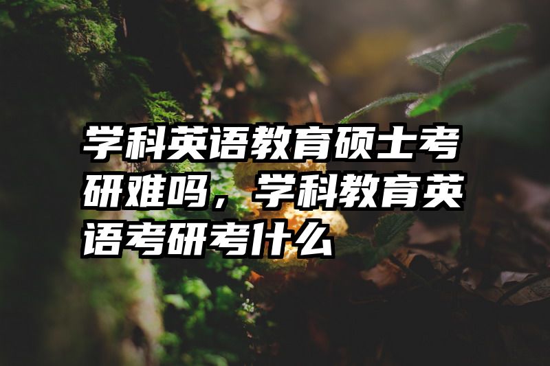 学科英语教育硕士考研难吗，学科教育英语考研考什么