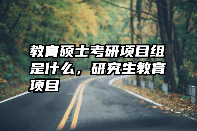 教育硕士考研项目组是什么，研究生教育项目