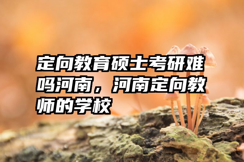 定向教育硕士考研难吗河南，河南定向教师的学校