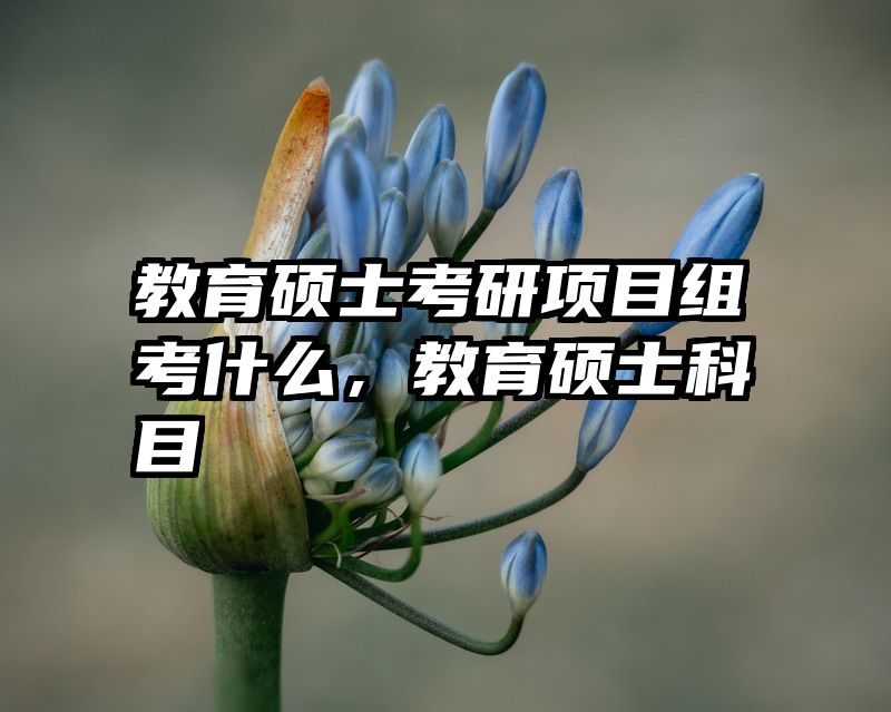 教育硕士考研项目组考什么，教育硕士科目