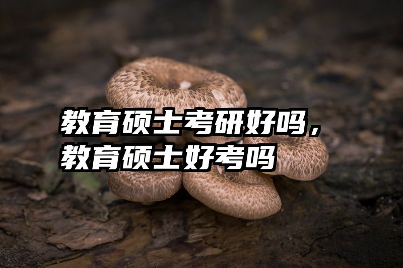 教育硕士考研好吗，教育硕士好考吗