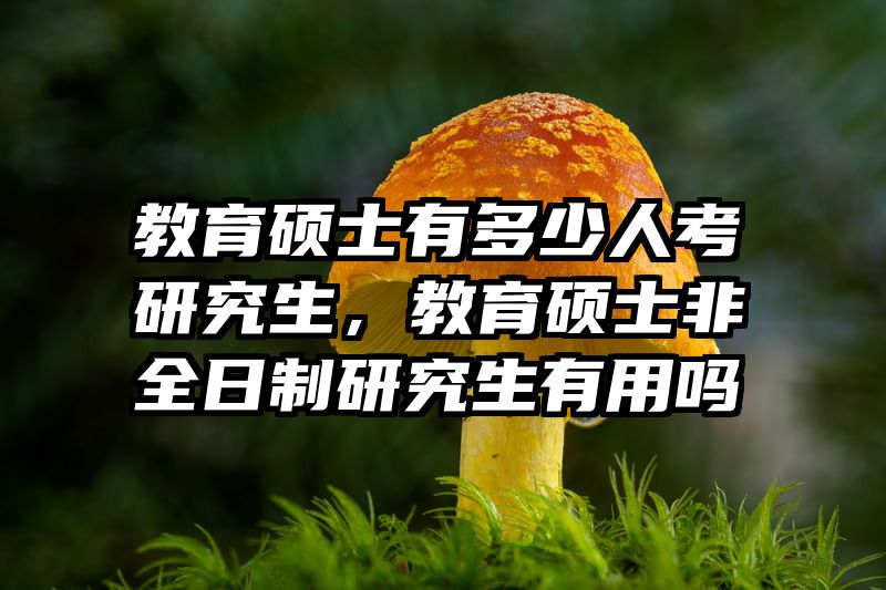 教育硕士有多少人考研究生，教育硕士非全日制研究生有用吗