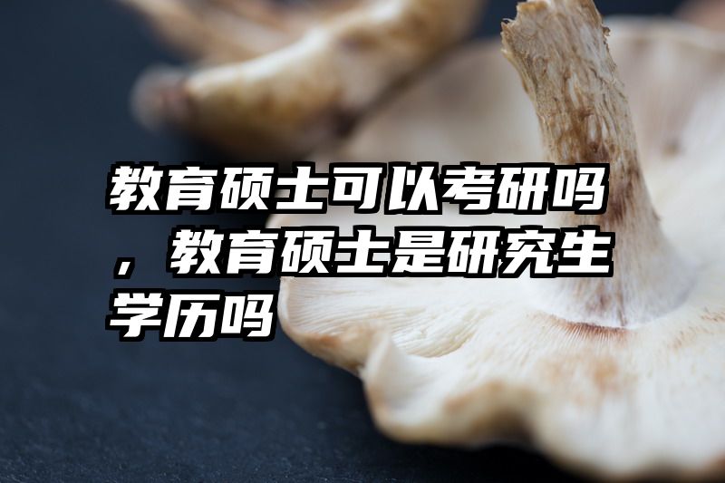 教育硕士可以考研吗，教育硕士是研究生学历吗