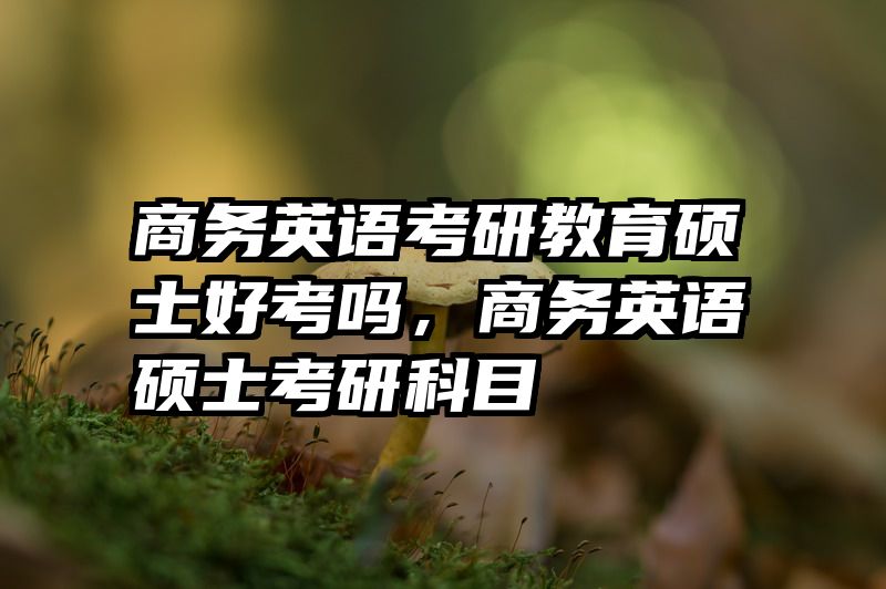 商务英语考研教育硕士好考吗，商务英语硕士考研科目