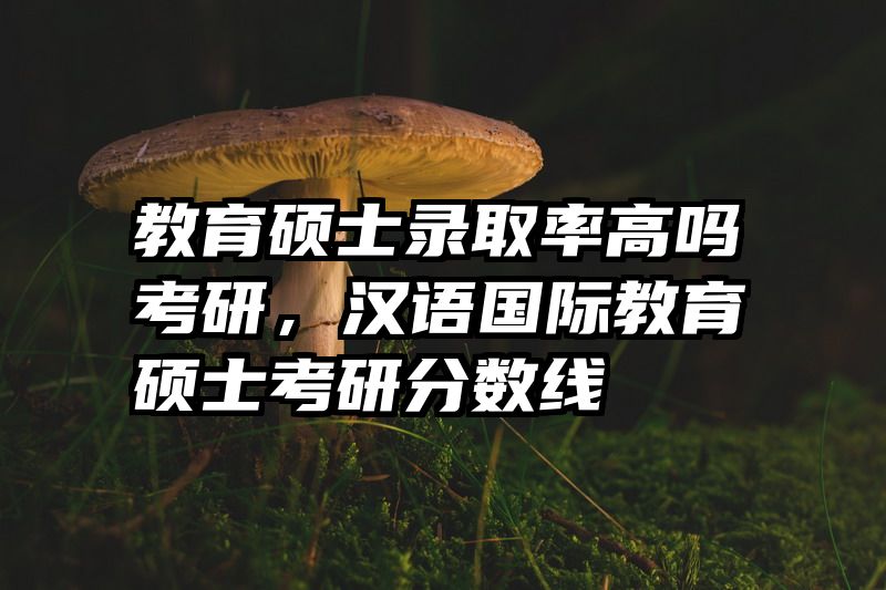 教育硕士录取率高吗考研，汉语国际教育硕士考研分数线