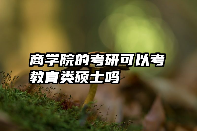 商学院的考研可以考教育类硕士吗