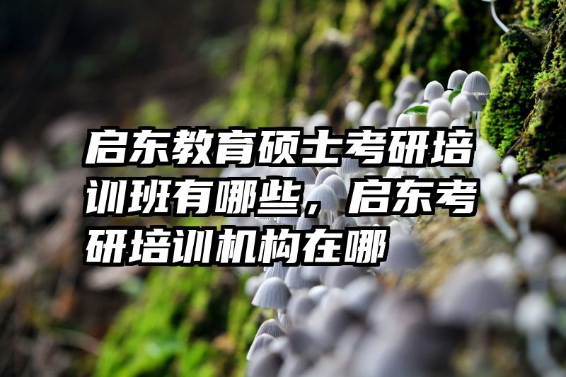 启东教育硕士考研培训班有哪些，启东考研培训机构在哪