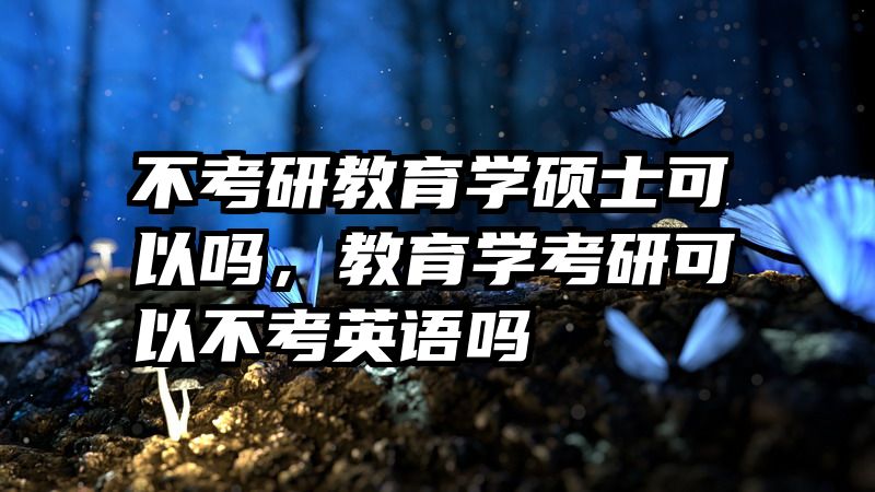 不考研教育学硕士可以吗，教育学考研可以不考英语吗