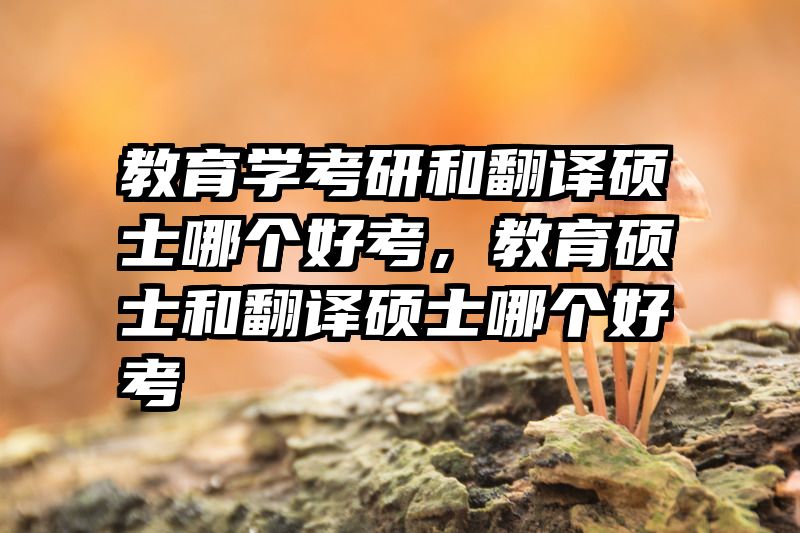 教育学考研和翻译硕士哪个好考，教育硕士和翻译硕士哪个好考