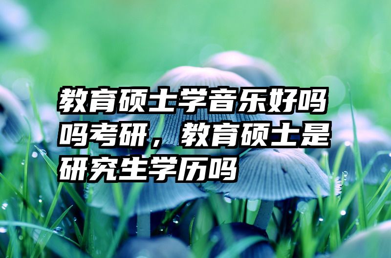 教育硕士学音乐好吗吗考研，教育硕士是研究生学历吗