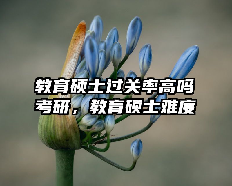 教育硕士过关率高吗考研，教育硕士难度