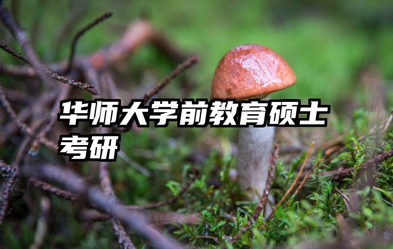 华师大学前教育硕士考研