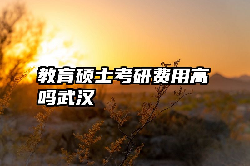 教育硕士考研费用高吗武汉