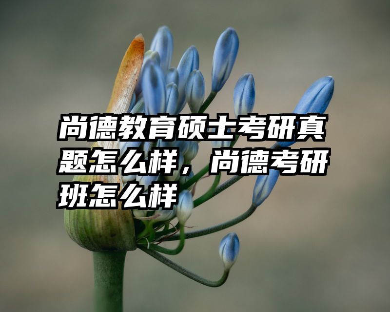 尚德教育硕士考研真题怎么样，尚德考研班怎么样