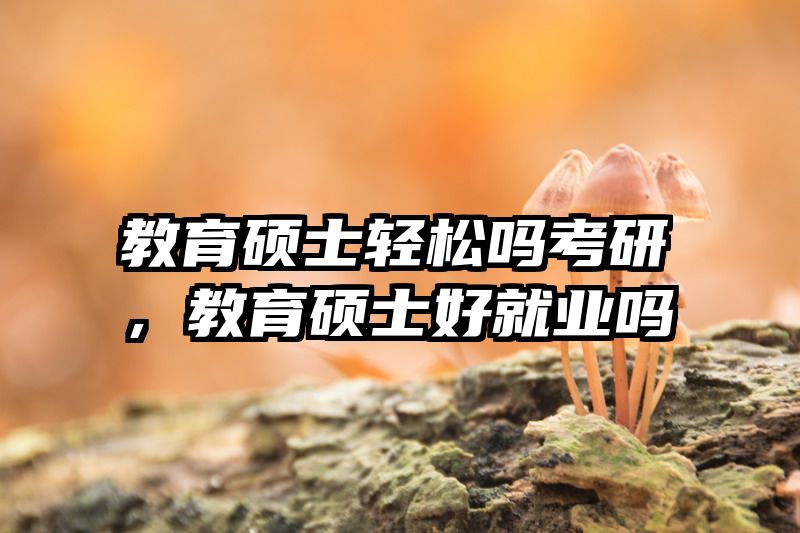 教育硕士轻松吗考研，教育硕士好就业吗